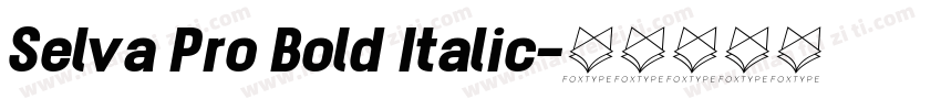 Selva Pro Bold Italic字体转换